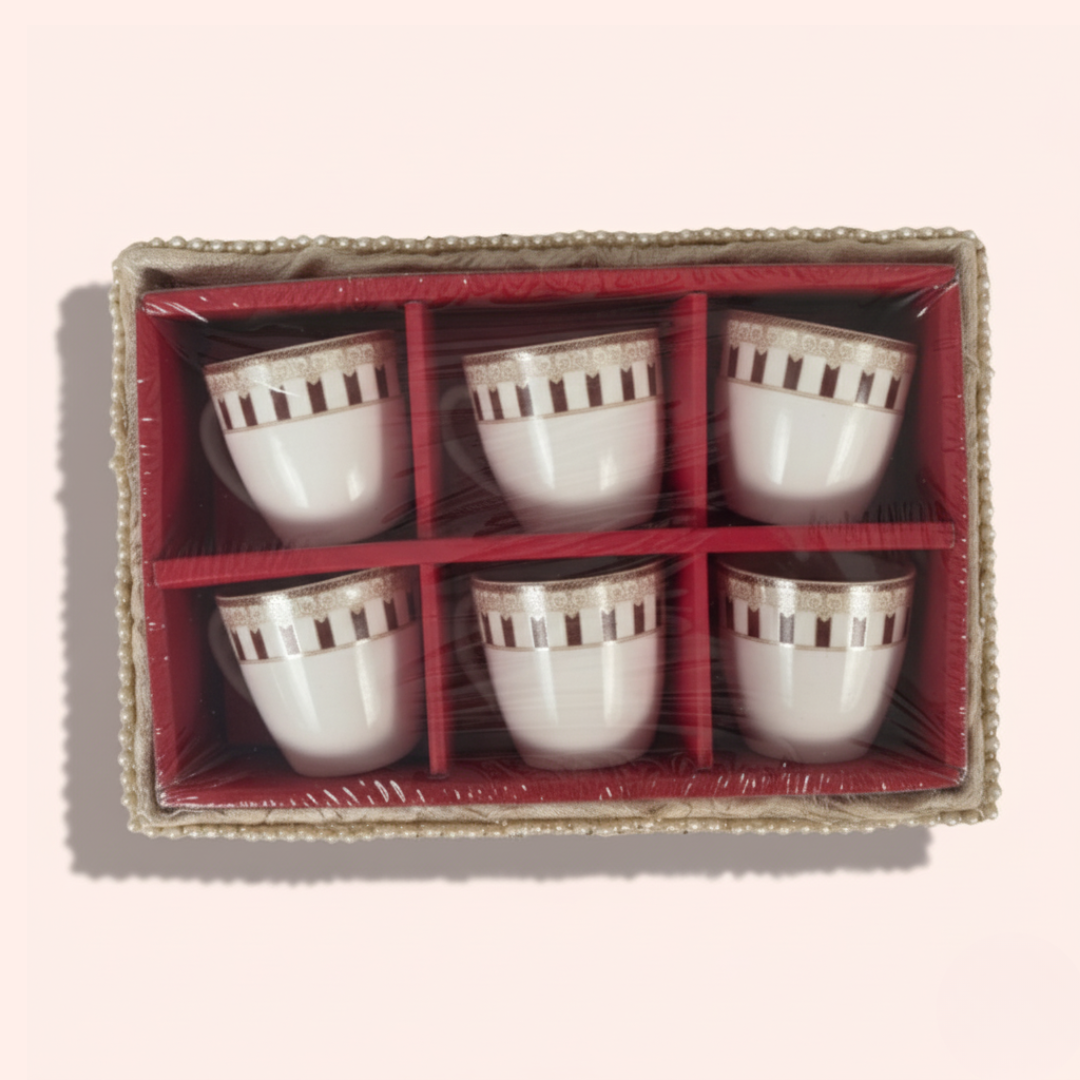 Shorya Tea Mug 6pc